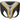 RDX T17 Aura Groin Guard
