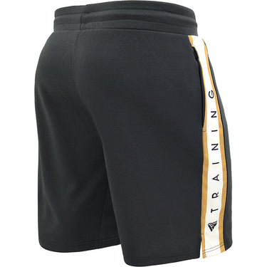 RDX T17 Aura Training Shorts 